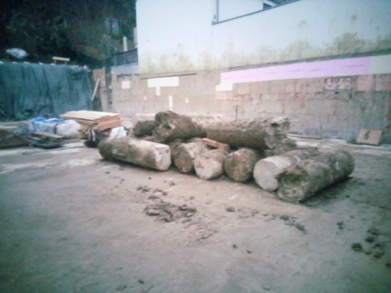 WhatsApp Image 2025-11-22 at 12.52.19